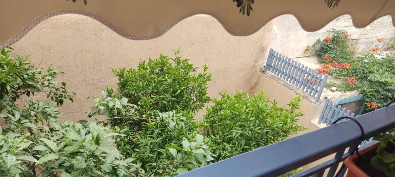Polyxeni Apartment Athens Exterior photo